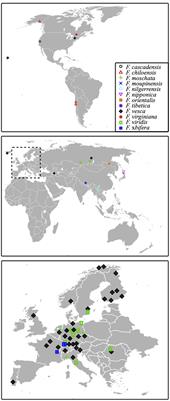Strawberry Accessions with Reduced Drosophila suzukii Emergence From Fruits